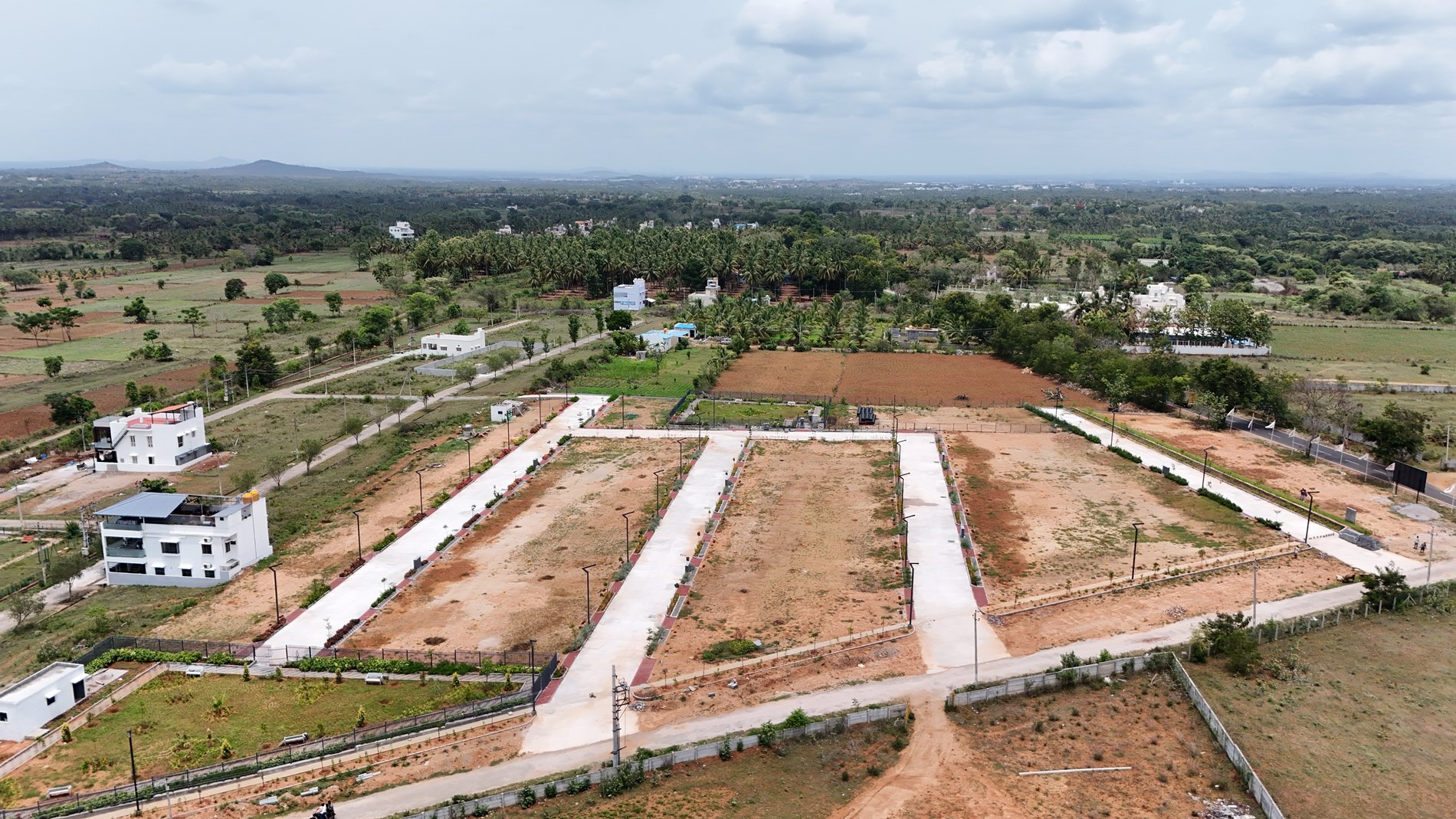 DJI_20250517124203_0820_D (1)